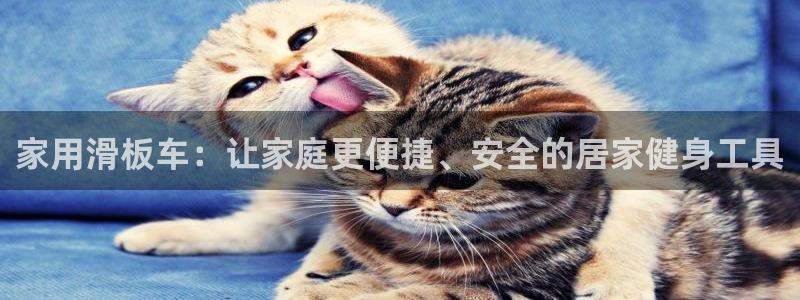意昂4五金厂：家用滑板车：让家庭更便捷、安全的居家健