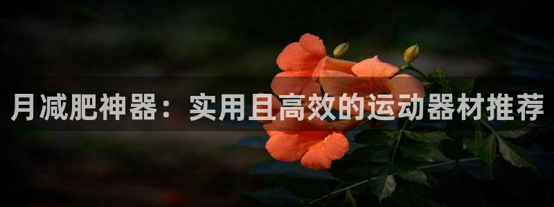 意昂体育4招商电话地址查询：月减肥神器：实用且高效的