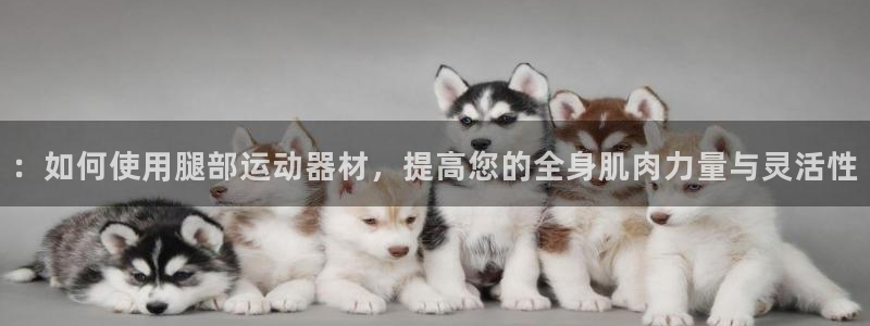 意昂4集团官网首页：：如何使用腿部运动器材，提高您的