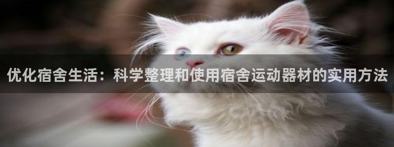 意昂体育4招商：优化宿舍生活：科学整理和使用宿舍运动