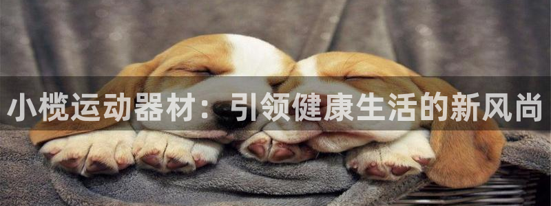 意昂体育4招商电话号码是多少号：小榄运动器材：引领健