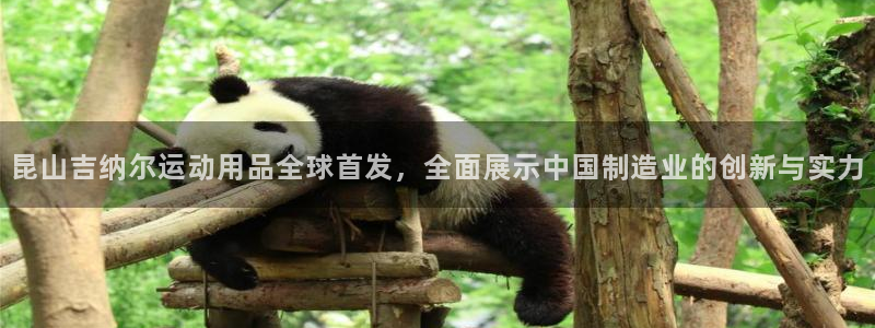 意昂4官方：昆山吉纳尔运动用品全球首发，全面展示中国