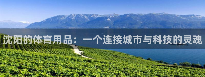 意昂体育4招商电话地址是多少：沈阳的体育用品：一个连