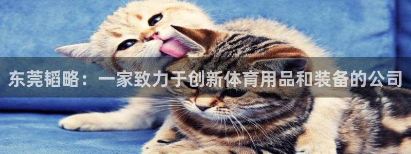 意昂4娱乐40996：东莞韬略：一家致力于创新体育用品和装备