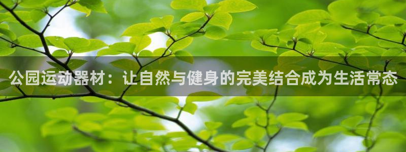 意昂4集团简介：公园运动器材：让自然与健身的完美结合成为生活