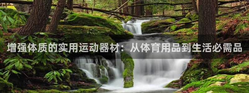 意昂体育4联系电话：增强体质的实用运动器材：从体育用品到生活