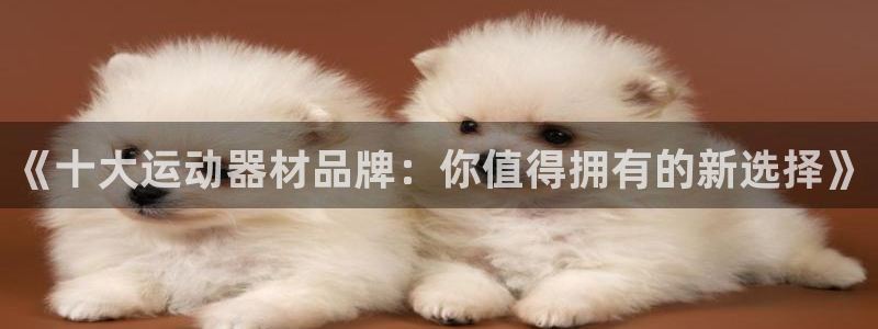 意昂4神州：《十大运动器材品牌：你值得拥有的新选择》