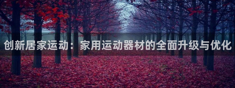 意昂体育4官方客服电话：创新居家运动：家用运动器材的全面升级